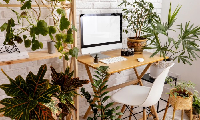 How to decorate an office with tropical colors